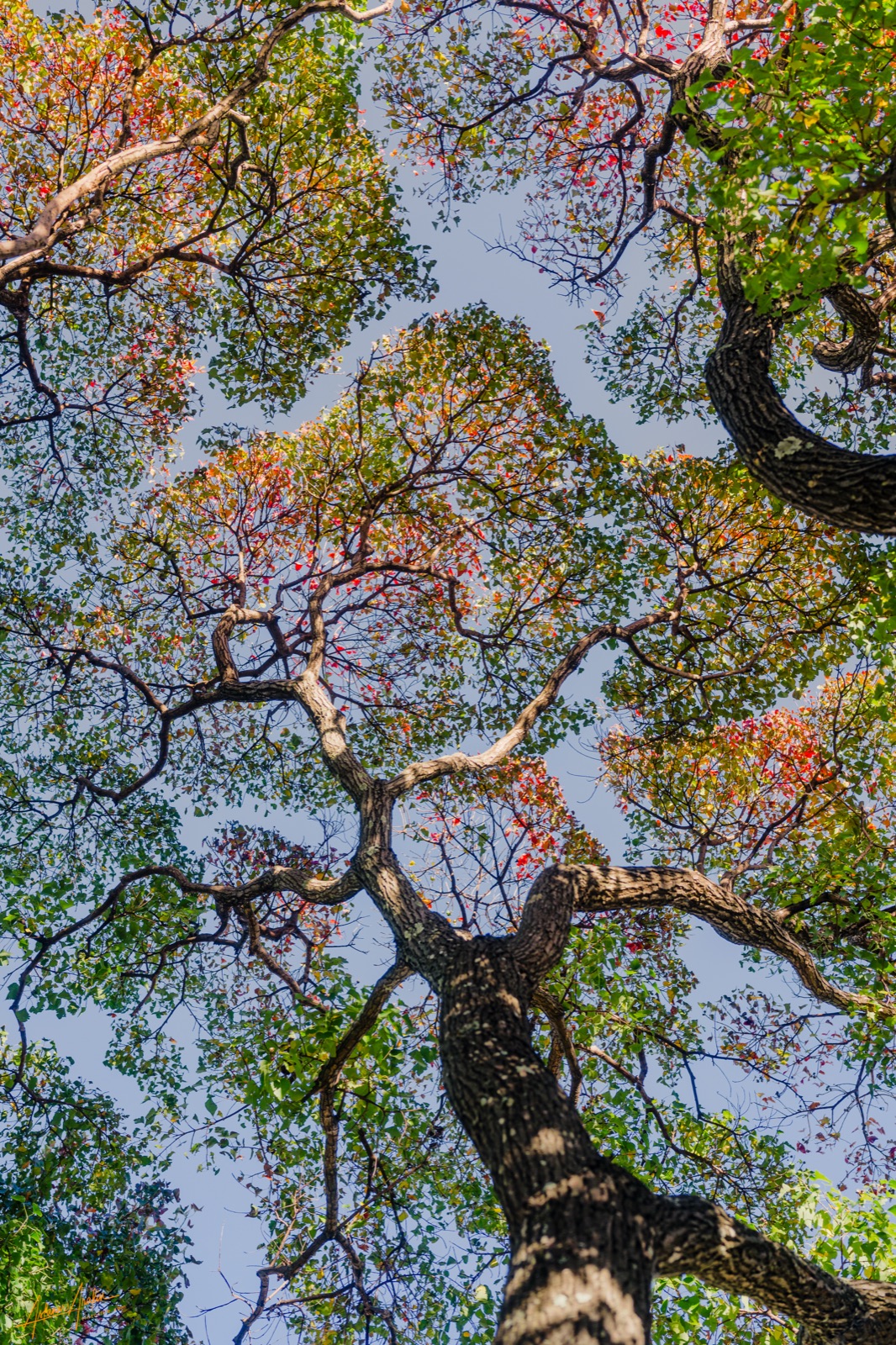 Landscape photograph by Asfanur Arafin